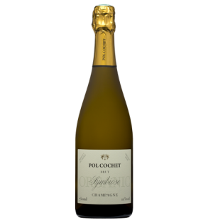 CHAMPAGNE POL COCHET SYMBIOSE BIO