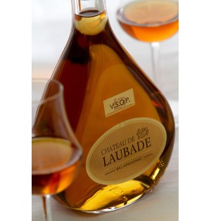 BAS-ARMAGNAC CHATEAU DE LAUBADE CARAFE ODILE 70CL