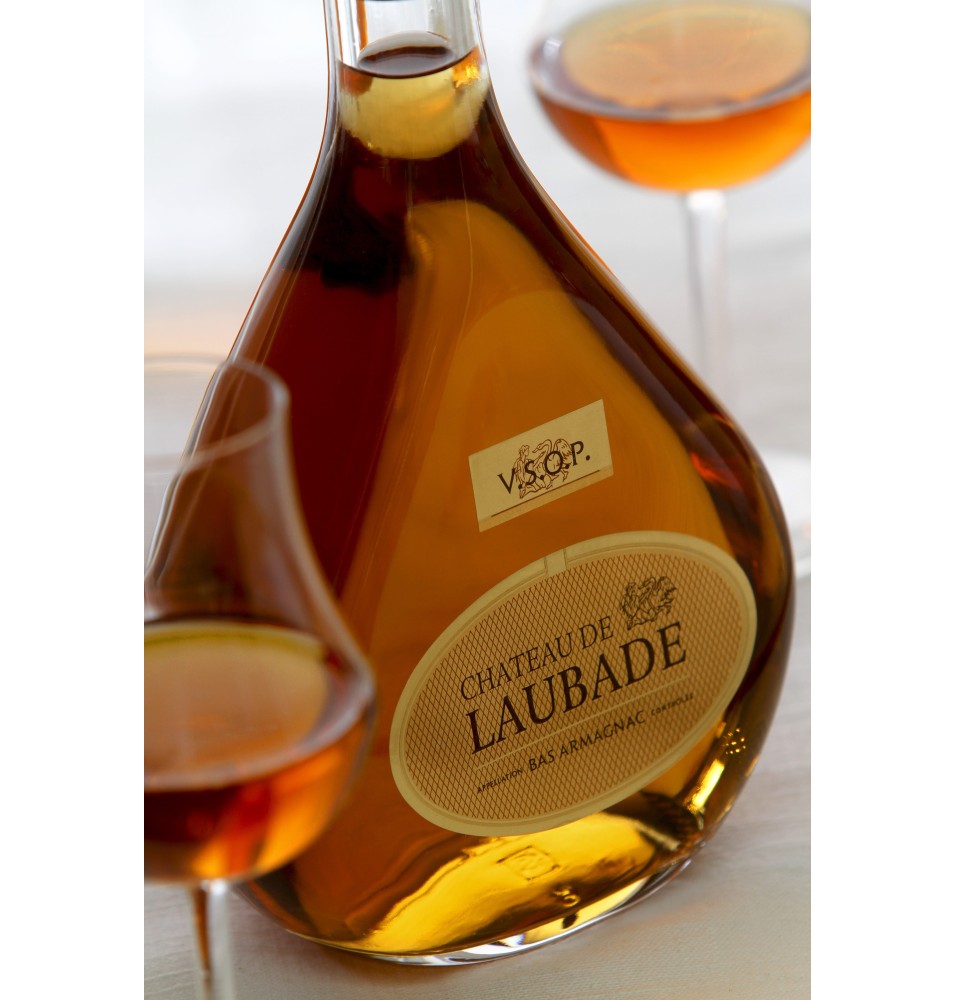 BAS-ARMAGNAC CHATEAU DE LAUBADE CARAFE ODILE 70CL