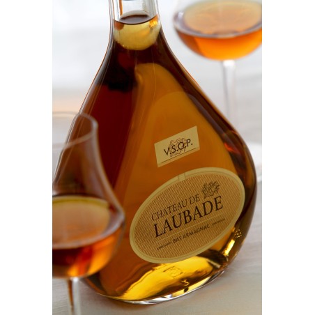 BAS-ARMAGNAC CHATEAU DE LAUBADE CARAFE ODILE 70CL