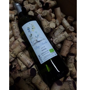 PAGE BLANCHE 2019 BIO - CLOS DE L'ANHEL