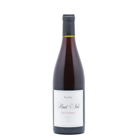 PINOT NOIR  75CL 2019 JEFF CARREL