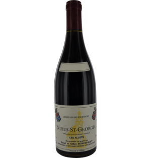 NUITS-SAINT-GEORGES LES ALLOTS 2018-75CL-DOMAINE REMORIQUET