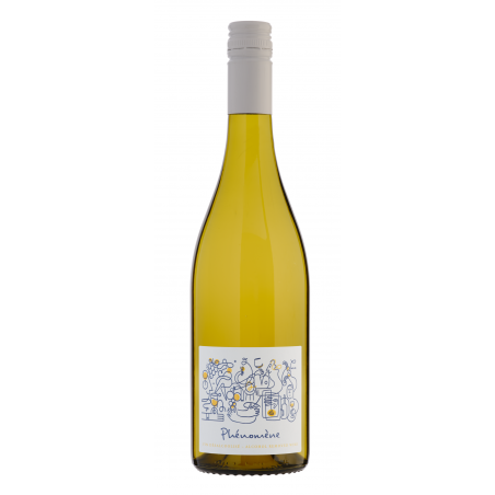 PHENOMENE - VIN BLANC DESALCOOLISE-75CL- 0.5% ALC./VOL.