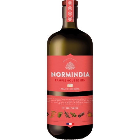 GIN NORMINDIA PAMPLEMOUSSE-70CL-41.4%Alc./Vol.-FRANCAIS