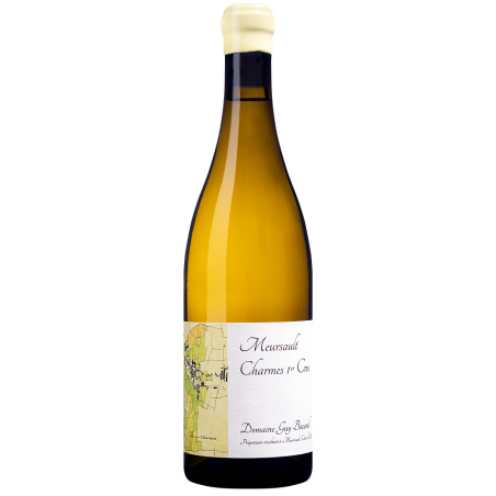 MEURSAULT 1ER CRU "LES CHARMES" 2022 BIO-75CL-GUY BOCARD