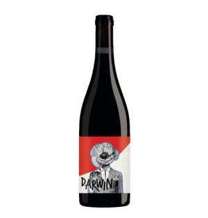 DARWIN CABERNET JURA 2021-75CL-12.5%ALC./VOL.-WINE IMPACT