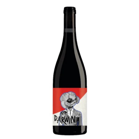 DARWIN CABERNET JURA 2021-75CL-12.5%ALC./VOL.-WINE IMPACT