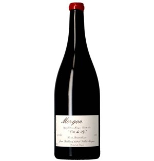 MORGON COTE DU PY FOILLARD 2022-75CL-13.5% AL- JEAN FOILLARD