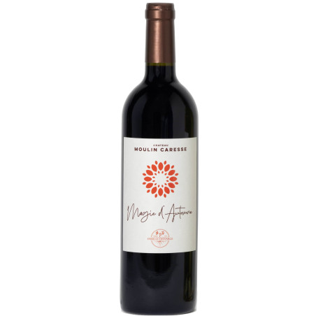 BERGERAC "MAGIE D'AUTOMNE" 2019-75CL-14% ALC.-MOULIN CARESSE