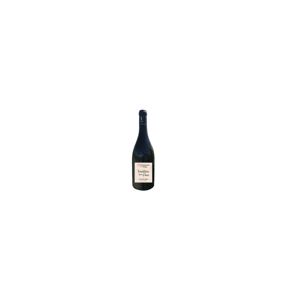 SAINT AMOUR "TRADITION" 2022-MAGNUM-13.5%-DOMAINE DES PINS