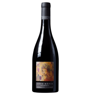 AOC CÔTE ROTIE CHAMPON'S 2023-75CL-13%-DOMAINE PICHAT