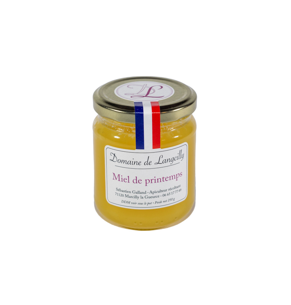 MIEL DE PRINTEMPS-250GR-DOMAINE DE LANGCILLY