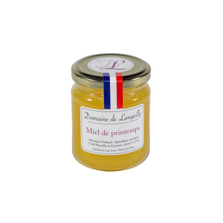 MIEL DE PRINTEMPS-250GR-DOMAINE DE LANGCILLY