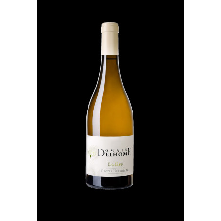 LOESS 2024 BLANC BIO-75CL-13%ALC./VOL.-DELHOME