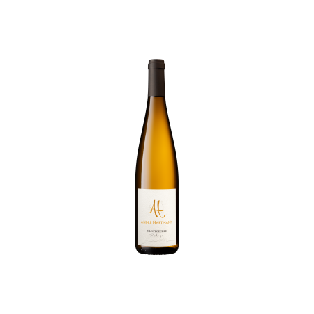 RIESLING BILDSTOECKLE 2024 BIO-13%ALC./VOL.-HARTMANN