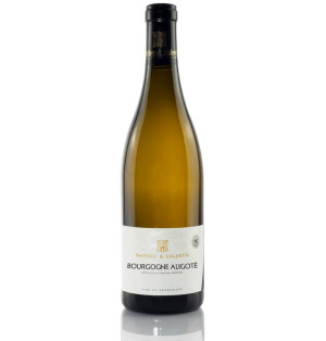 BOURGOGNE ALIGOTE NATHAN & VALENTIN 2024-75CL-12.5%ALC./VOL.