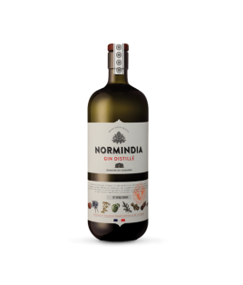 GIN NORMINDIA FRANCE 70CL 41.1% Alc.