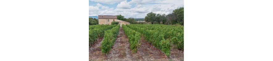 ARDECHE château de la Sèlve Palissaire Beaulieu Maguelonne St Régis