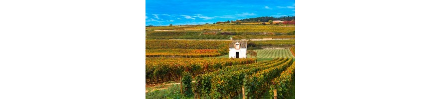 BEAUJOLAIS VILLAGE gamay chardonnay rouge blanc