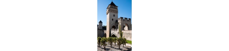 CAHORS Domaine Vincent Tradition Prestige