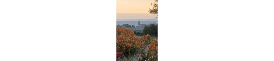 CAIRANNE Domaine des Amadieu Les Guarrigues & les Vielles vignes