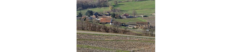 CÔTES DE BROUILLY