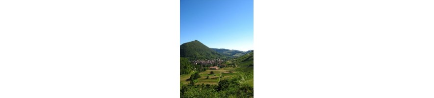 CERDON Clos de la Bierle Thierry Troccon