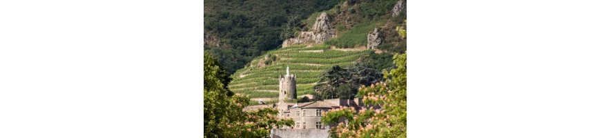 CROZES-HERMITAGE Hauts Châssis Colombier Gaby Galets Essentiel Martinelles