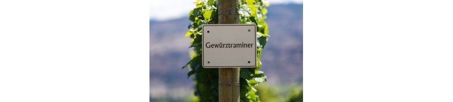 GEWURZTRAMINER