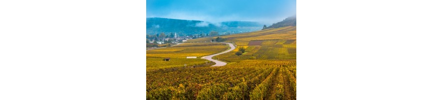 HAUTES CÔTES DE BEAUNE