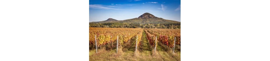 TOKAJ