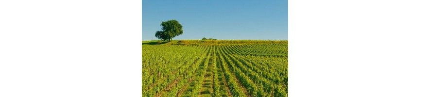 LALANDE DE POMEROL