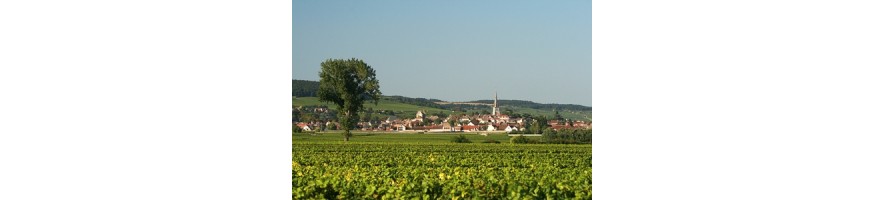 MEURSAULT