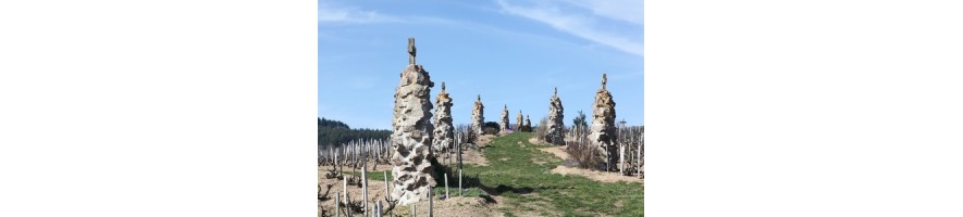 MORGON et MORGON Côte du Py du domaine Gaget et du domaine Jean Foillard