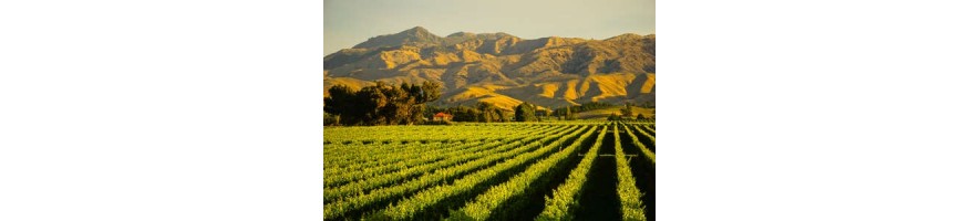 NOUVELLE ZELANDE Sauvignon Marlborough ARONA & LAWSON'S DRY HILLS