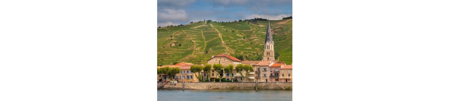 CÔTES DE PROVENCE