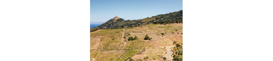 COLLIOURE