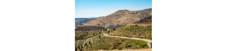 BANYULS Pietri-Geraud Cuvées Méditerranée Joseph Mademoiselle O