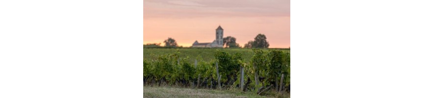 ST EMILION