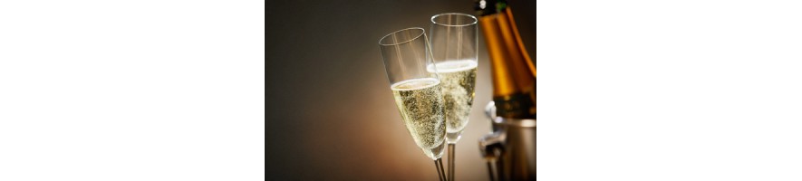 Champagnes Dozage Zéro, Extra Brut, Brut, Demi-Sec, Blanc de Blancs, Rosé, millésimés, magnums et jéroboams,