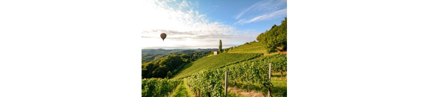 Châteauneuf Rhône Rasteau Cairanne Séguret Sablet Vacqueyras Gigondas