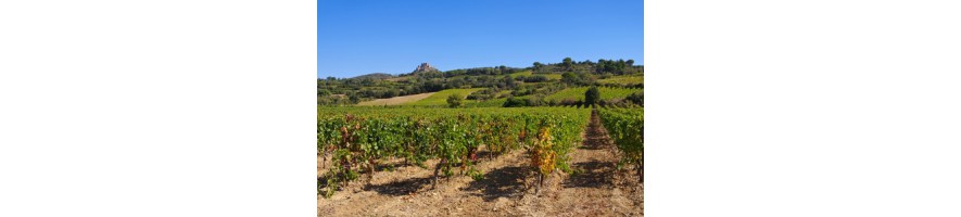 Roussillon Maury Banyuls Collioure Muscat Rivesaltes