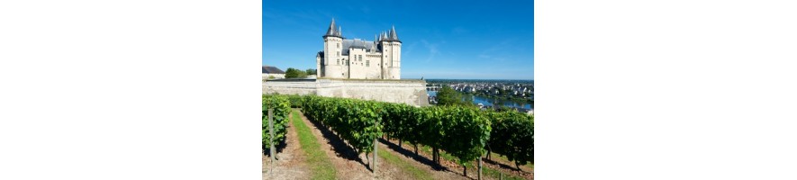 Chinon, Bourgueuil, Saint Nicolas de Bourgueil, Touraine, Sancerre, Pouilly Menetou, Côteux du Layon