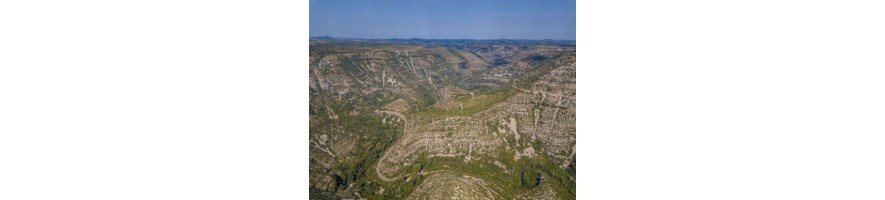 TERRASSES DU LARZAC