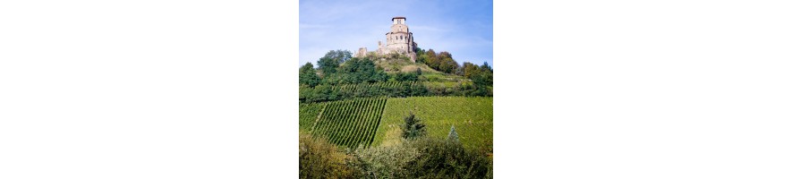 AOC CÔTES DU FOREZ