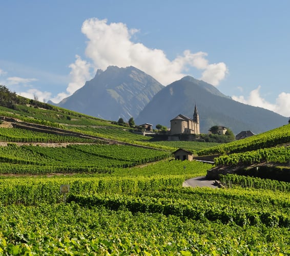 Côte du Rhone